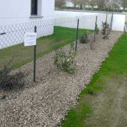 Plantation arbustes sur toile tisse avec paillage type copeau