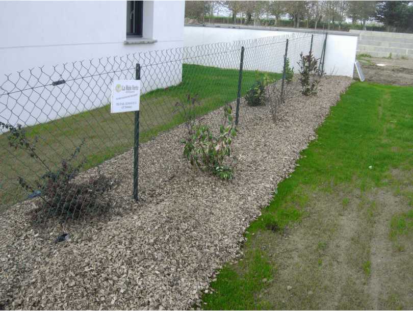 Plantation arbustes sur toile tisse avec paillage type copeau